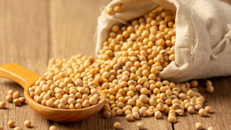 soybean-sauce-soybean