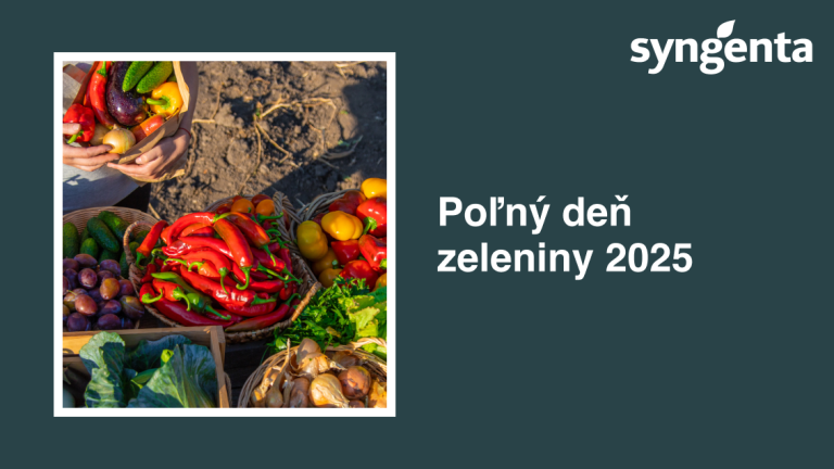 l_thumb_polny_den_zeleniny.png
