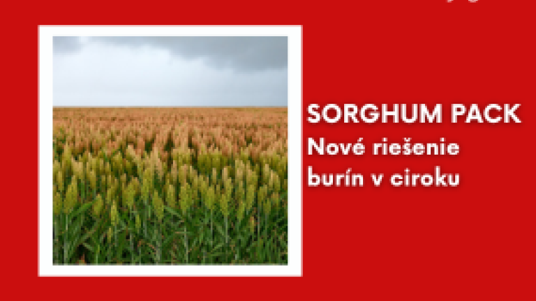sorghum pack