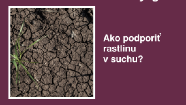 sk-sucho-maly.png