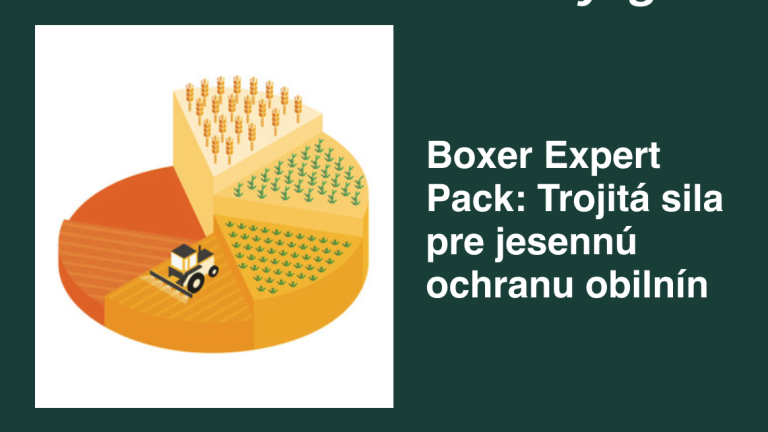 Reklamná grafika Syngenta: Boxer Expert Pack – trojitá sila pre ochranu obilnín