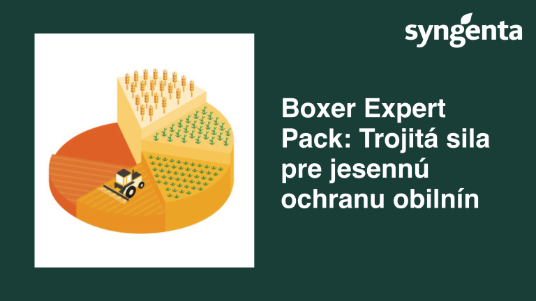 boxer.png