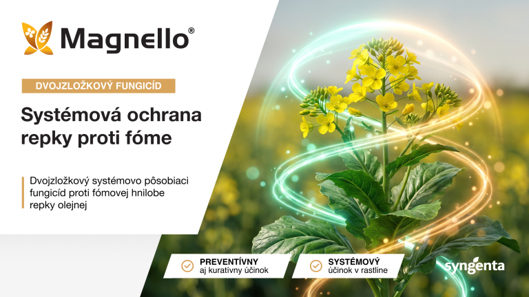 Reklamný banner Magnello: systémová ochrana repky, žlté kvety a logo Syngenta