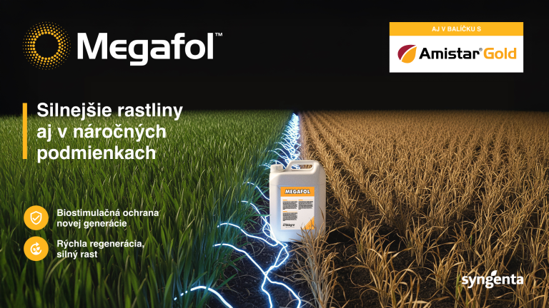 Reklamná grafika Megafol: pole pšenice a fľaša hnojiva s modrou energiou
