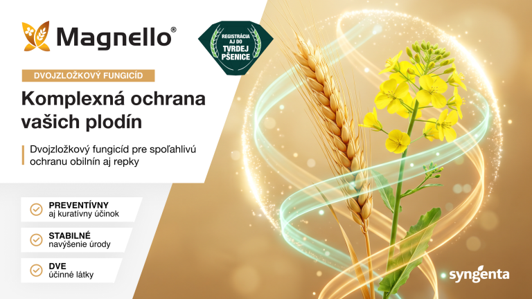 Reklamný banner Magnello na ochranu plodín, klasy a repka v žiare na pozadí