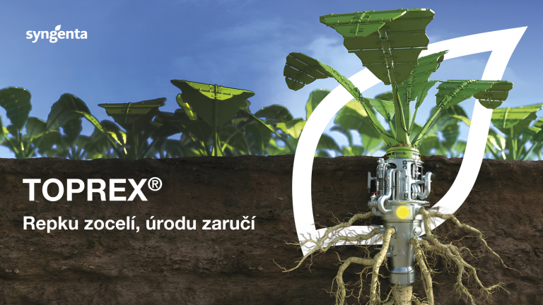 sk_hero_toprex