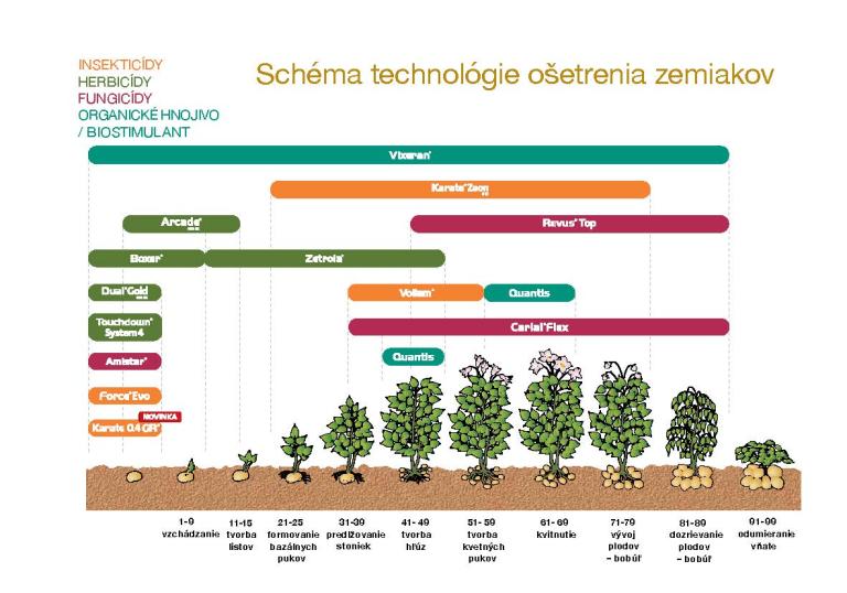 schema_zemiaky_2024.jpg