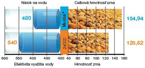 ošetrenie obilnin syngenta