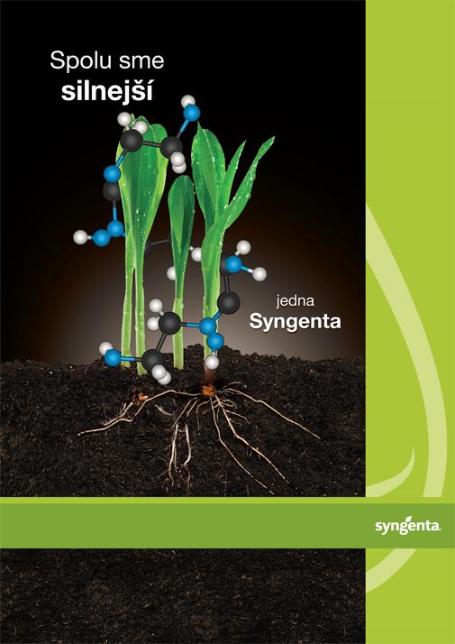 kukurica syngenta