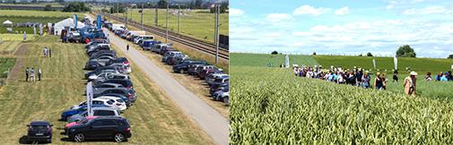 výročie syngenta
