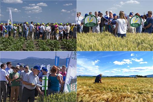 výročie syngenta