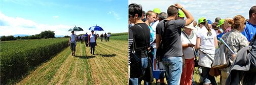výročie syngenta