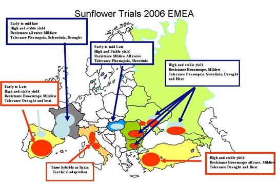 mapa syngenta