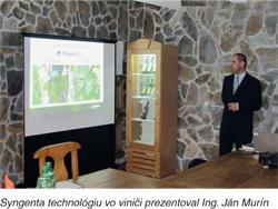 zdravý vinič syngenta