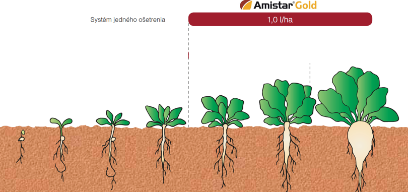 Amistar Gold, cukrová repa, schéma