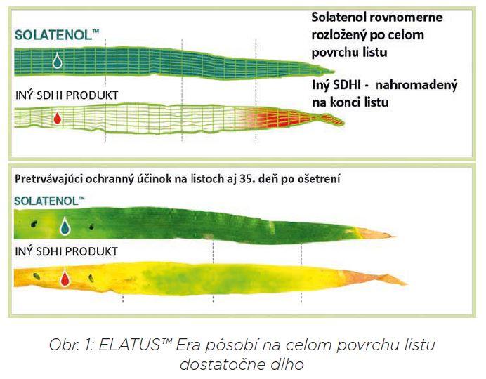 elatus