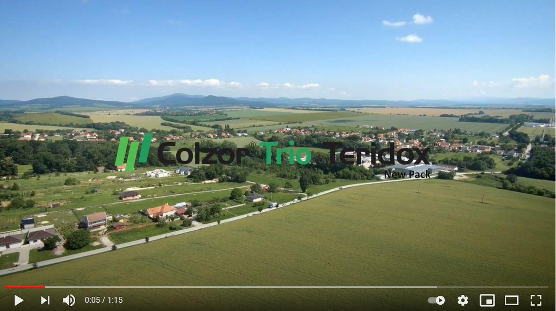 colzor trio teridox