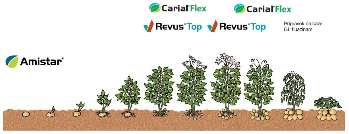 revus top