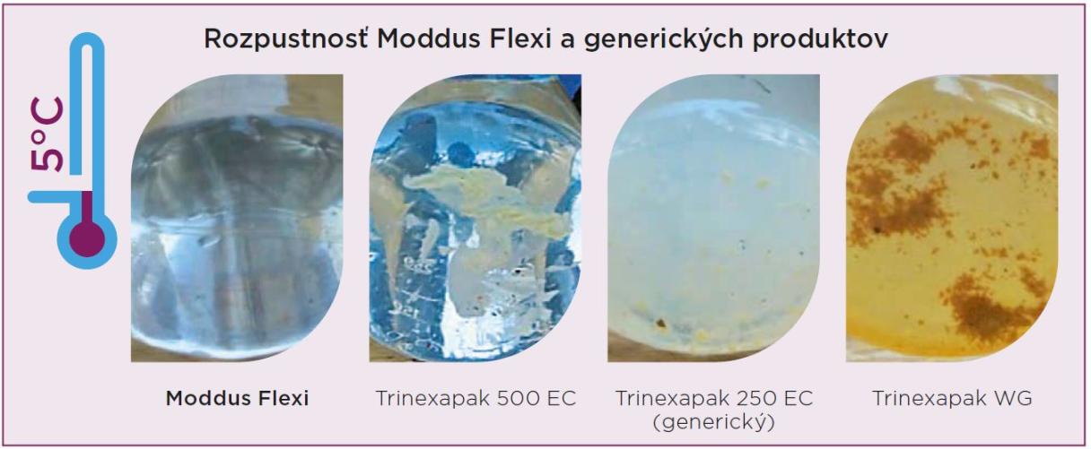 moddus flexi