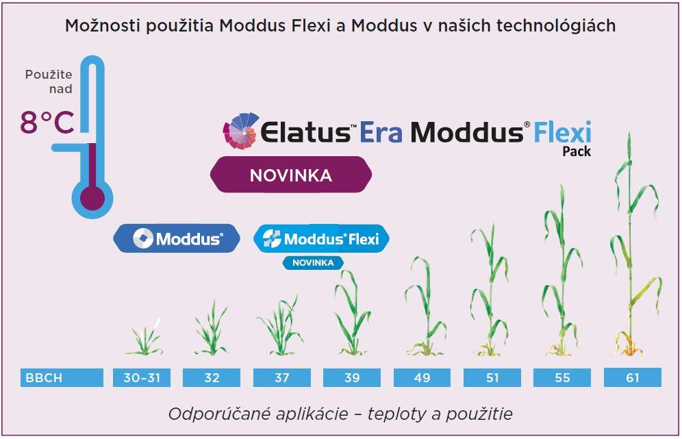 moddus flexi