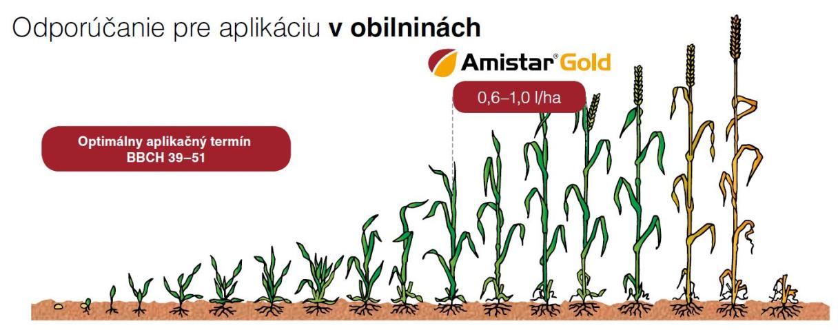 amistar_gold_odporucania_obilniny