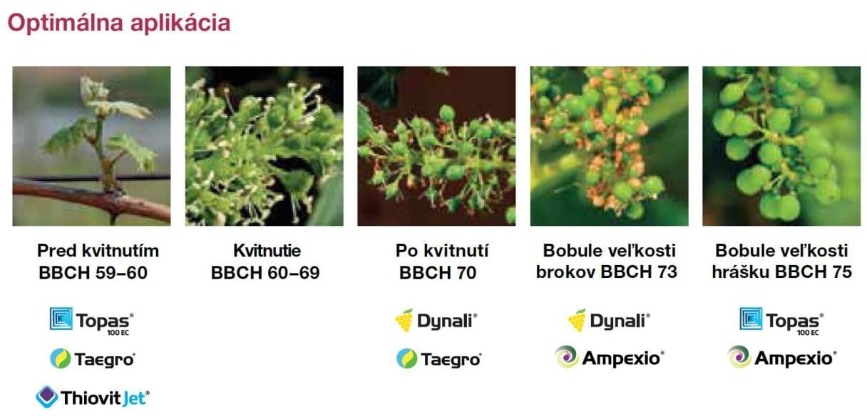 Dynali_optimálna aplikácia