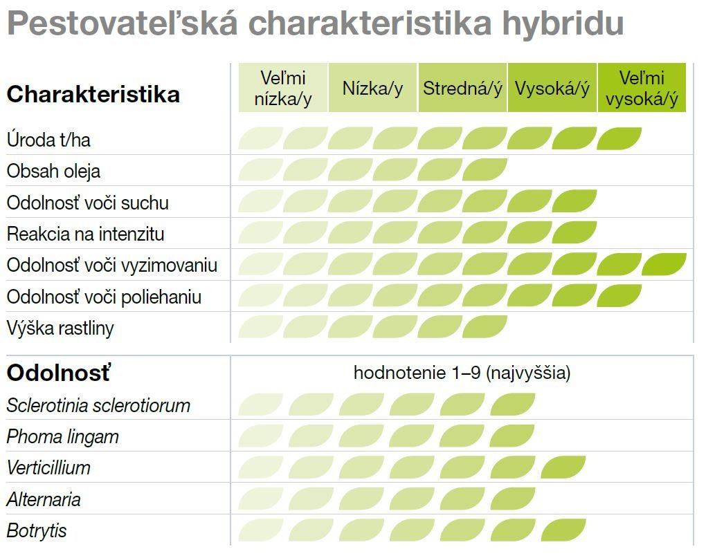 Pestovateľská charakteristika odrody SY Glorietta