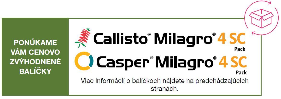 balicky_casper_milagro_callisto_milagro