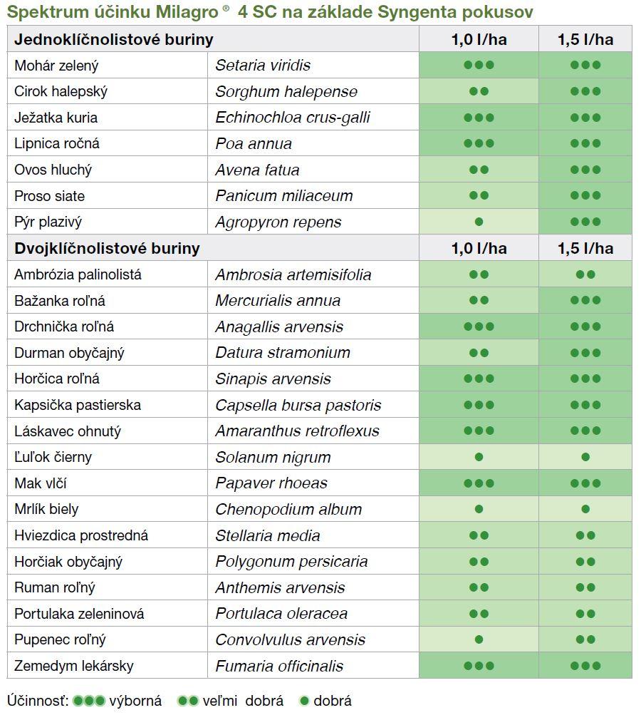 Spektrum účinku MIlagro 4 SC na základe Syngenta pokusov