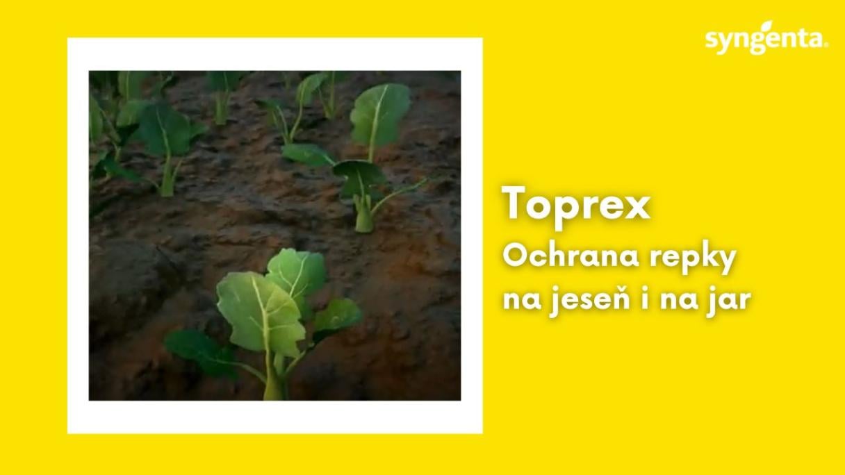 toprex_YT mini obrazok.jpg
