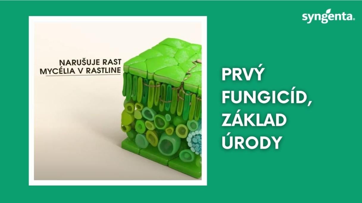 unix_mini_yt_sk.jpg
