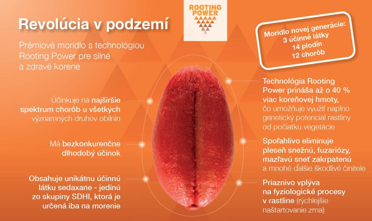 Moridlo Vibrance Gold