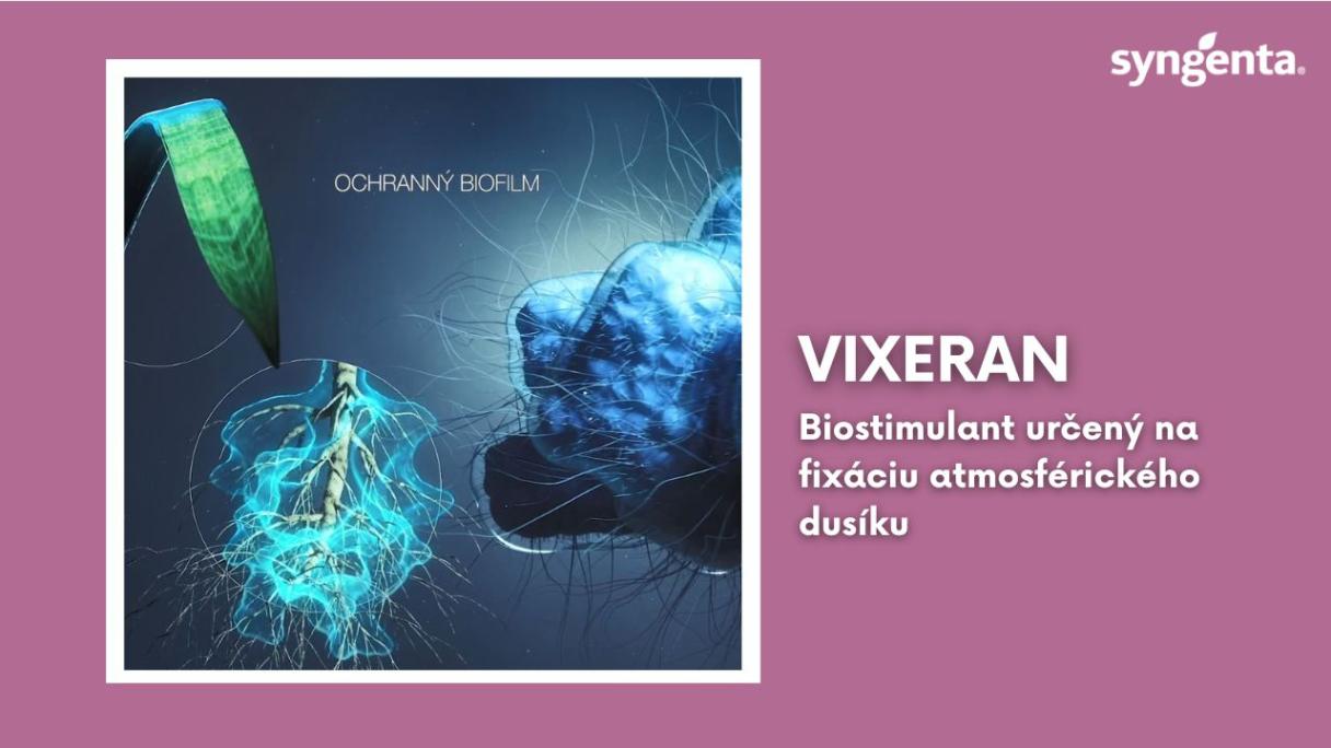 vixeran_yt_mini_sk.jpg