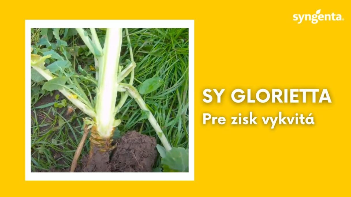 repka_sy glorietta.jpg