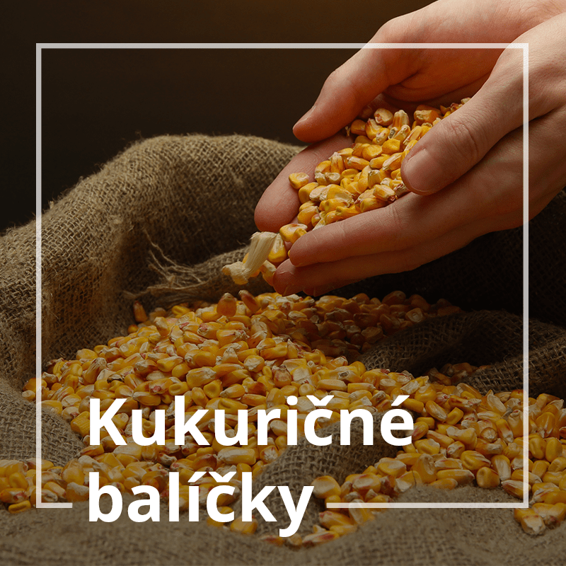kukuricka-min.png