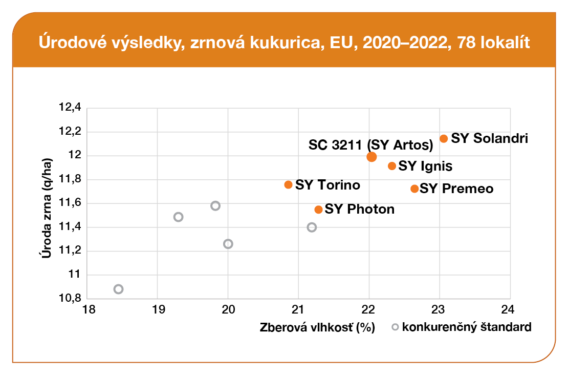 SY Artos kukurica Syngenta