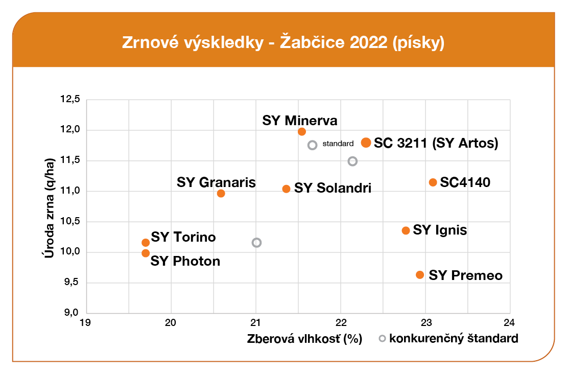 SY Artos kukurica Syngenta