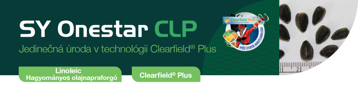 SY Onestar CLP slnečnica Syngenta