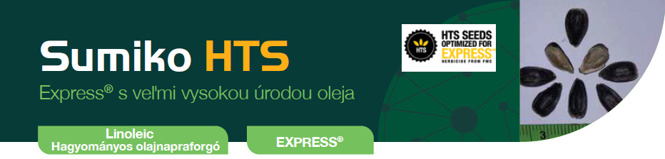 Sumiko HTS slnečnica Syngenta