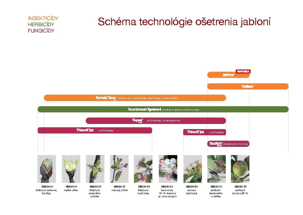 schema_jablone_2024.jpg