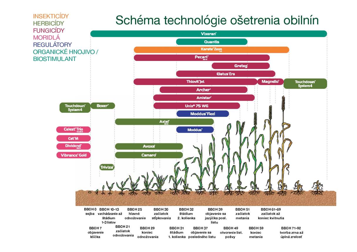 schema_obilniny_2024.jpg