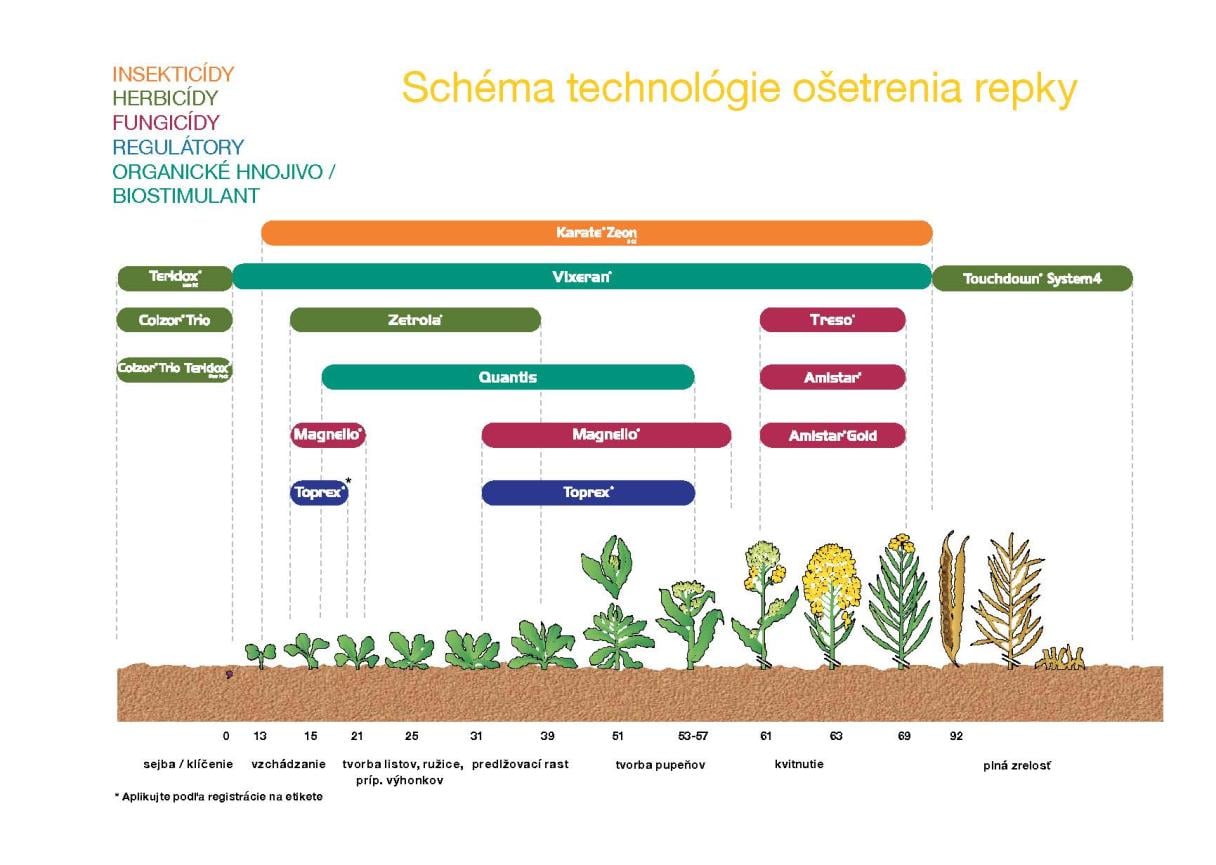 schema_repka_2024.jpg