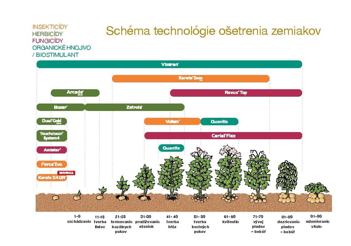 schema_zemiaky_2024.jpg