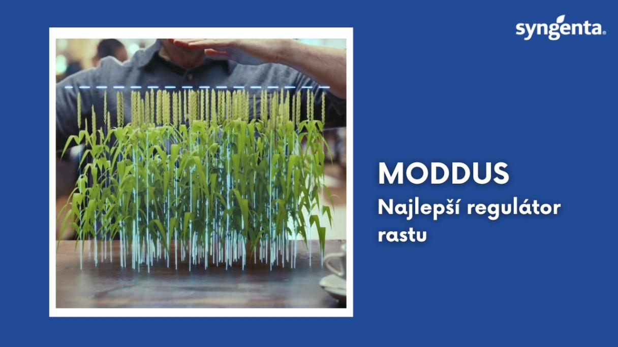 moddus_najlepsi_regulator_YT mini SK.jpg