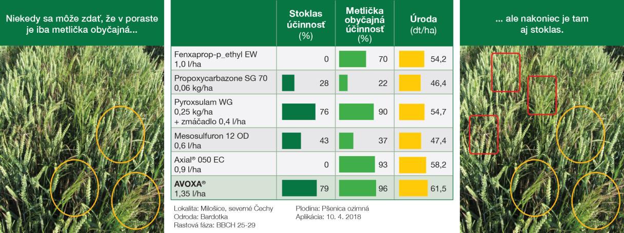 avoxa_metlicka stoklas_graf.jpg