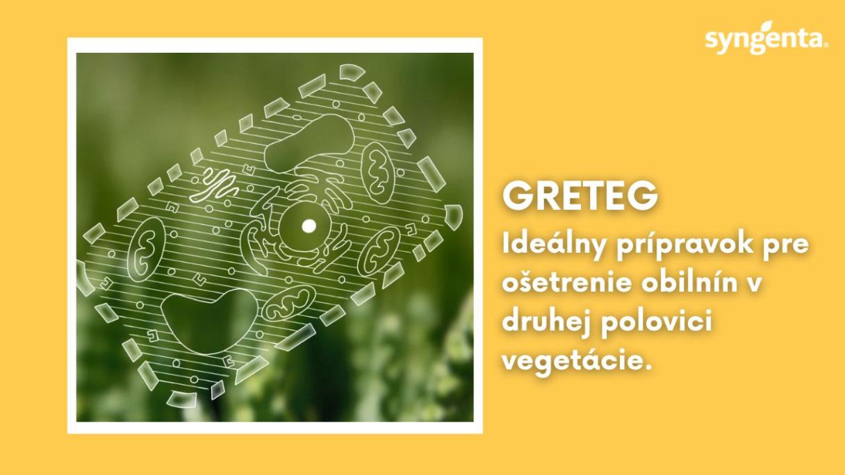greteg_yt_mini.jpg