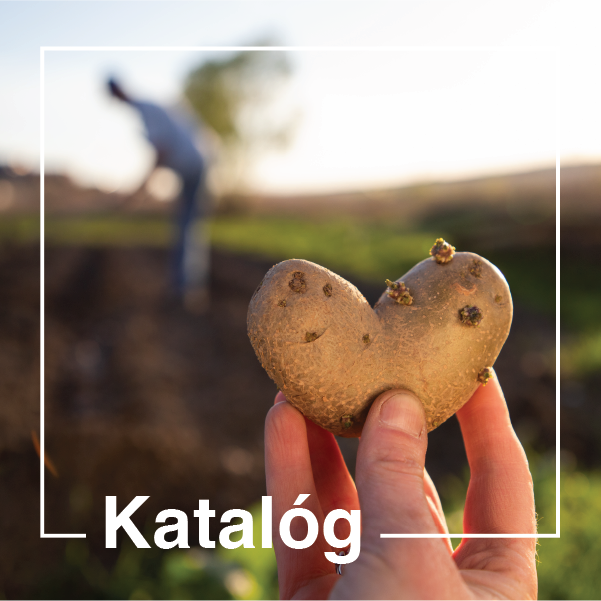 katalog