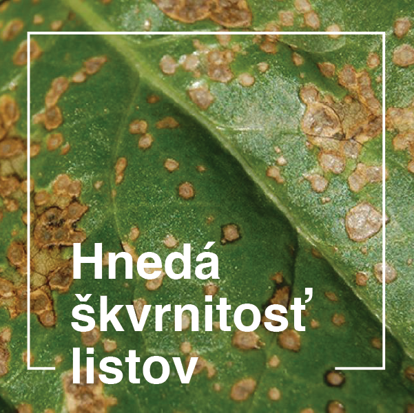 hneda-skvrnitost.png