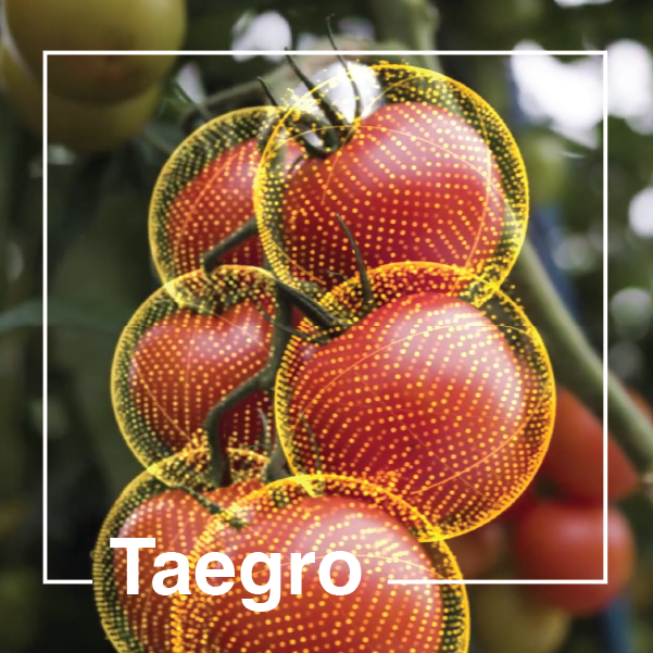 taegro.png