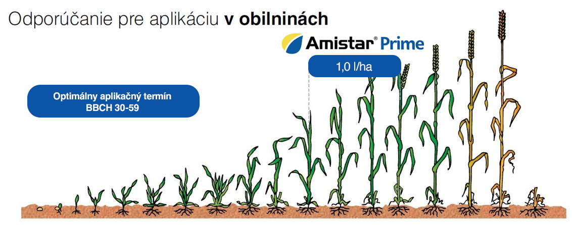 syngenta_amistar_prime.png